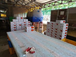 배경수 님의 자유주제 · 자유게시판 작성글 사진