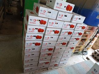 배경수 님의 자유주제 · 자유게시판 작성글 사진