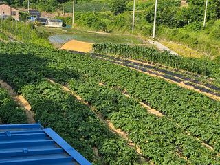 늘항상한결님의 자유주제 · 자유게시판 작성글 사진