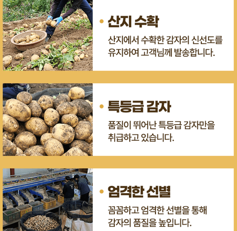 스피드번님의 장터 판매 상품 [햇 홍감자] 첨부 사진