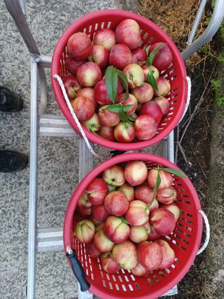 배경수 님의 자유주제 · 자유게시판 작성글 사진