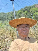 팜모닝 · 게시글 이미지