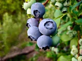 황인근님의 작성글 사진