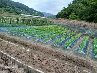 강재화님의 자유주제 · 자유게시판 작성글 사진