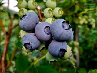 황인근님의 작성글 사진