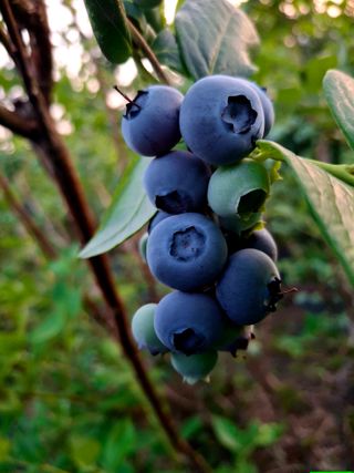 황인근님의 작성글 사진