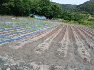 강재화님의 자유주제 · 자유게시판 작성글 사진