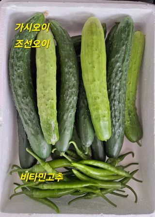 민환기님의 자유주제 · 자유게시판 작성글 사진