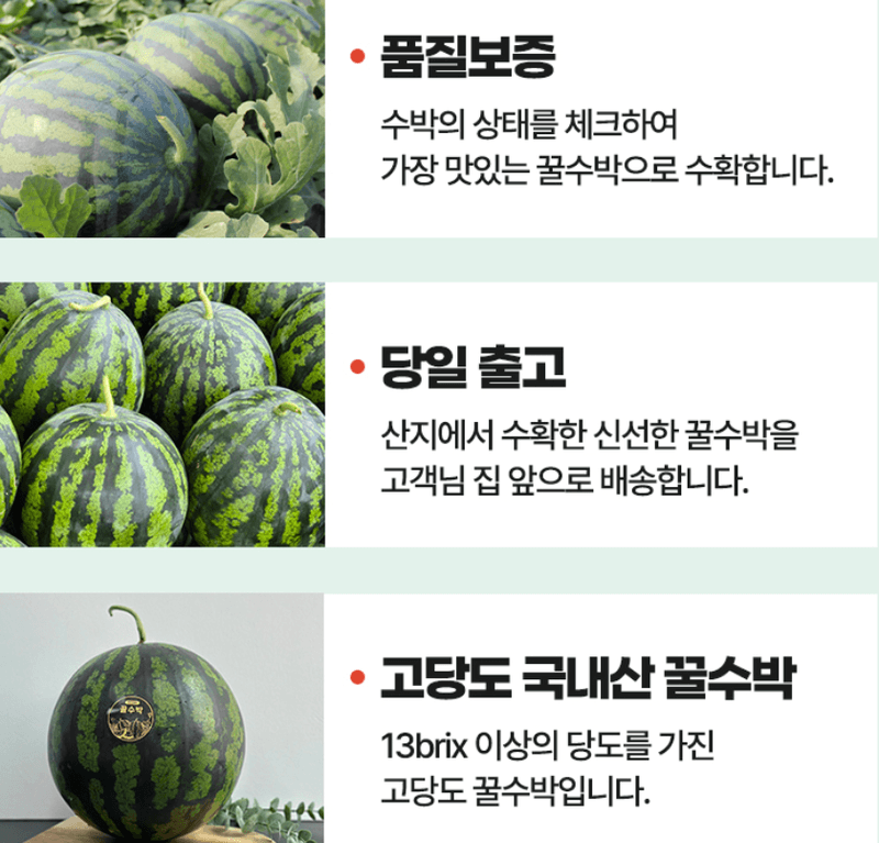 스피드번님의 장터 판매 상품 [고당도 꿀수박] 첨부 사진