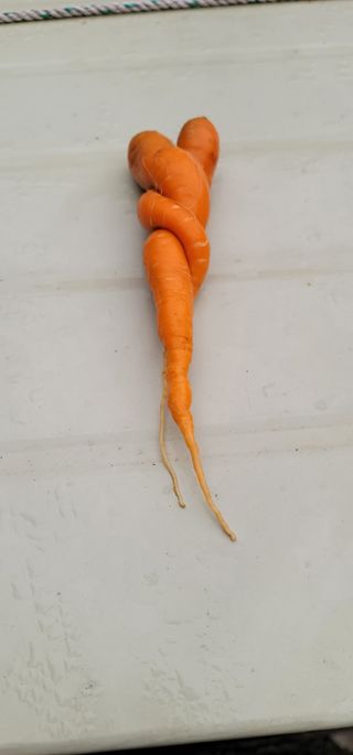 철구옵빠님의 자유주제 · 자유게시판 작성글 사진