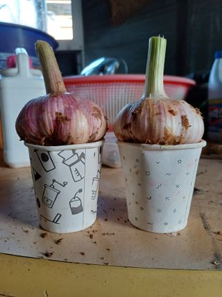 이철우님의 자유주제 · 자유게시판 작성글 사진