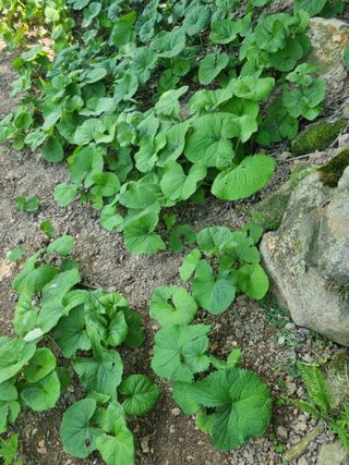 김용대님의 자유주제 · 자유게시판 작성글 사진