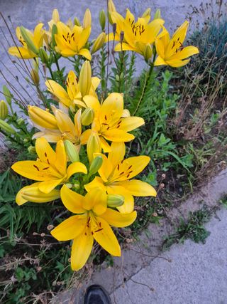 신인농원님의 자유주제 · 자유게시판 작성글 사진