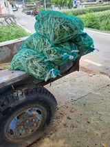 팜모닝 자유주제·사진전 게시글 이미지