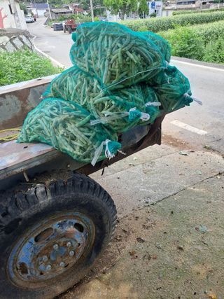 장세만 님의 자유주제 · 사진전 작성글 사진