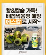 팜모닝 자유주제·자유게시판 게시글 이미지