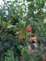 팜모닝 자유주제·자유게시판 게시글 이미지