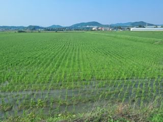 안동준 님의 자유주제 · 자유게시판 작성글 사진