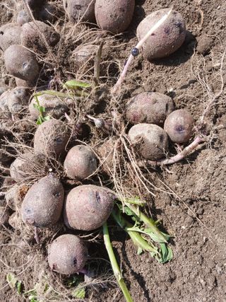 송명자님의 자유주제 · 자유게시판 작성글 사진