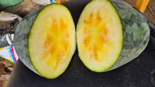 박원재님의 농사, 무엇이든 물어보세요! · 참여글 작성글 사진