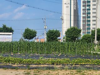 손정아님의 자유주제 · 자유게시판 작성글 사진