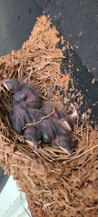 윤양현님의 자유주제 · 자유게시판 작성글 사진