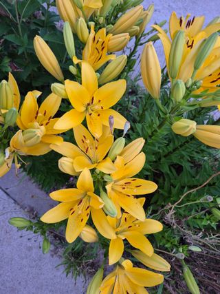 신인농원님의 자유주제 · 자유게시판 작성글 사진