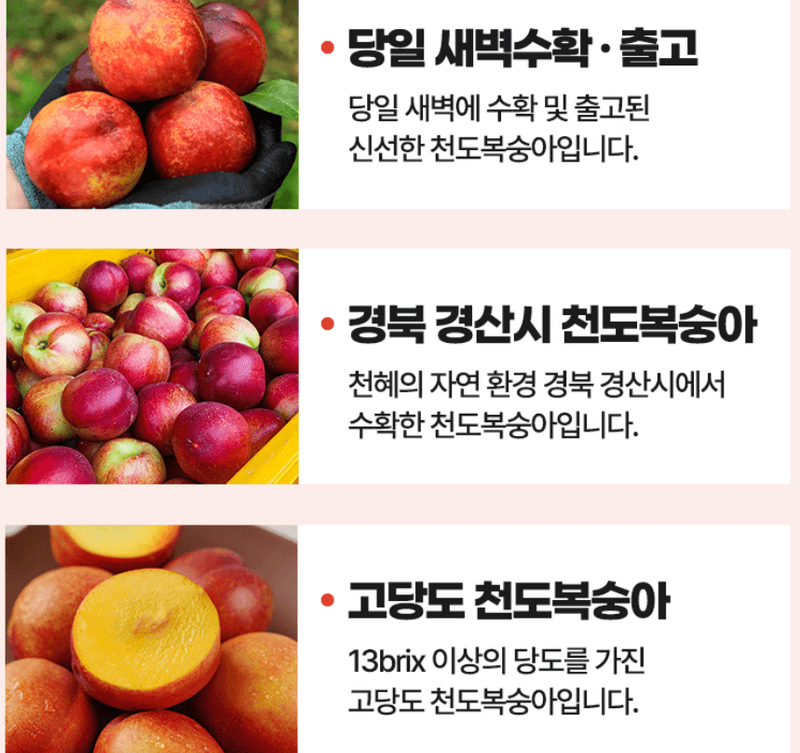 스피드번님의 장터 판매 상품 [고당도 천도복숭아] 첨부 사진