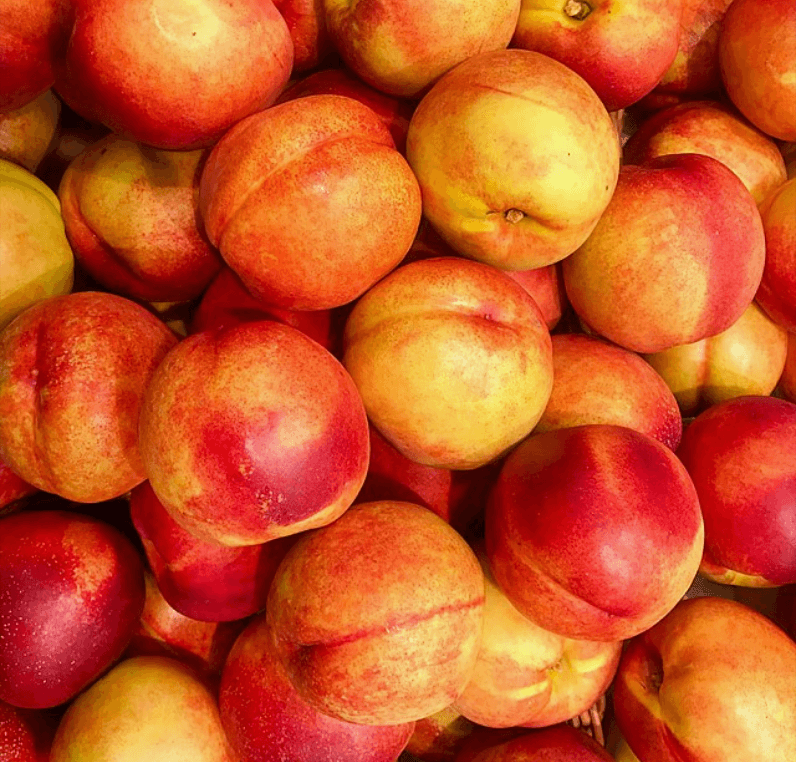 장터 상품 [고당도 신비복숭아] 썸네일