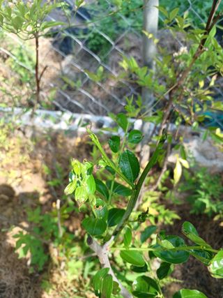 제주할아범님의 자유주제 · 자유게시판 작성글 사진