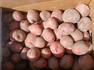 송명자님의 자유주제 · 자유게시판 작성글 사진