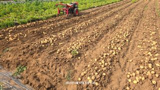 황규복(달구지)님의 자유주제 · 자유게시판 작성글 사진