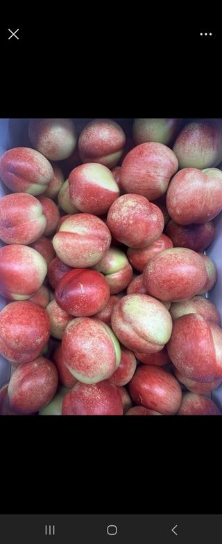 방촌대장님의 자유주제 · 자유게시판 작성글 사진