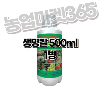 농업마켓365님의 작성글 사진