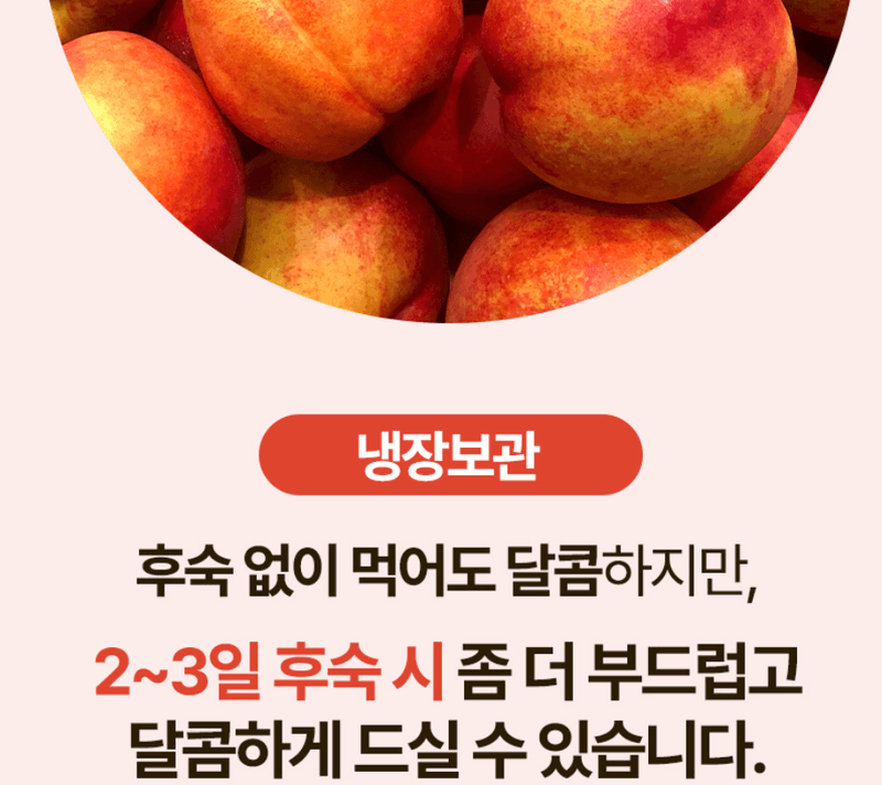 스피드번님의 장터 판매 상품 [고당도 신비복숭아] 첨부 사진