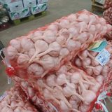 팜모닝 농사, 무엇이든 물어보세요!·참여글 게시글 이미지