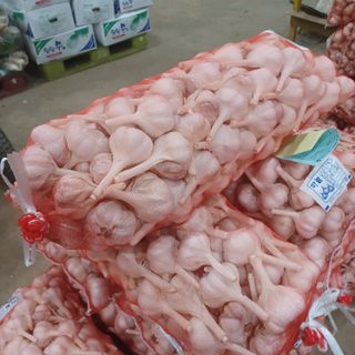 젊은농원 님의 농사, 무엇이든 물어보세요! · 참여글 작성글 사진