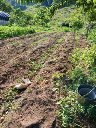 박지성 님의 자유주제 · 자유게시판 작성글 사진