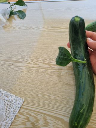 이부희님의 자유주제 · 자유게시판 작성글 사진