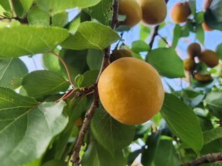 김육환님의 작성글 사진