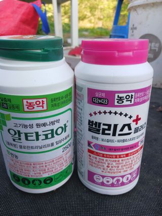 신현철님의 감·병해충상담 작성글 사진