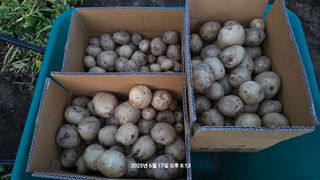 황규복(달구지)님의 자유주제 · 자유게시판 작성글 사진