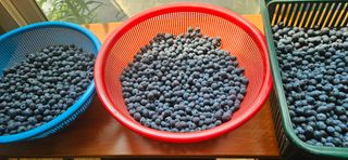 모란님의 작성글 사진