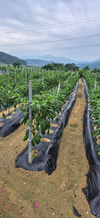 이상윤님의 자유주제 · 자유게시판 작성글 사진