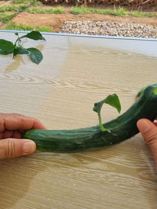 이부희님의 자유주제 · 자유게시판 작성글 사진