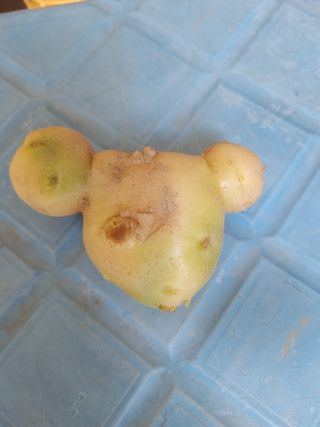 김세진님의 자유주제 · 자유게시판 작성글 사진