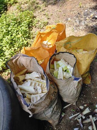 이현상님의 자유주제 · 자유게시판 작성글 사진