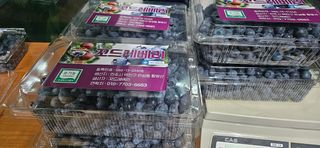 모란님의 작성글 사진