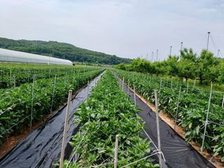 이창우님의 자유주제 · 자유게시판 작성글 사진