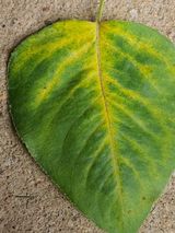 하나라도 소중하게님의 배·일상 작성글 사진